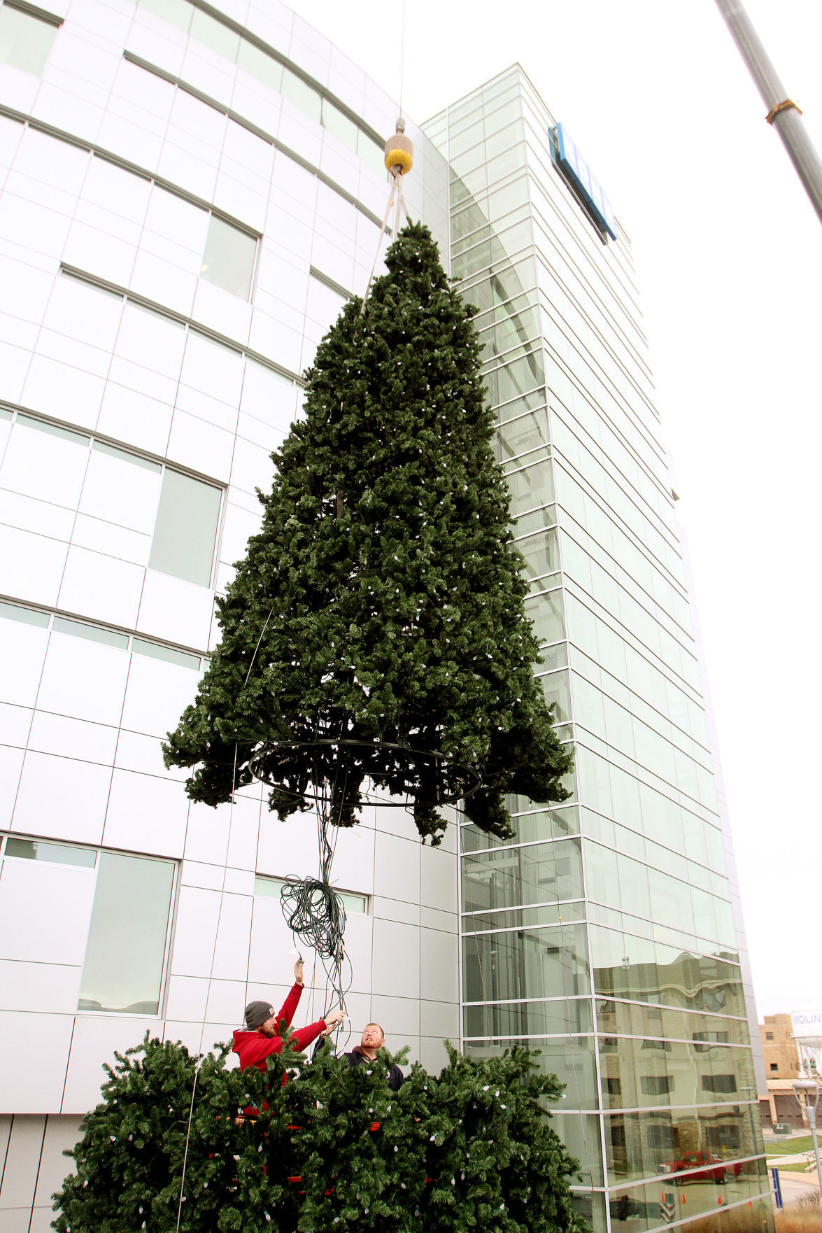 112015-kone-tree-006